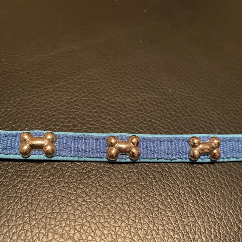 XS Stylish Blue Dog Collar with Bone Accents